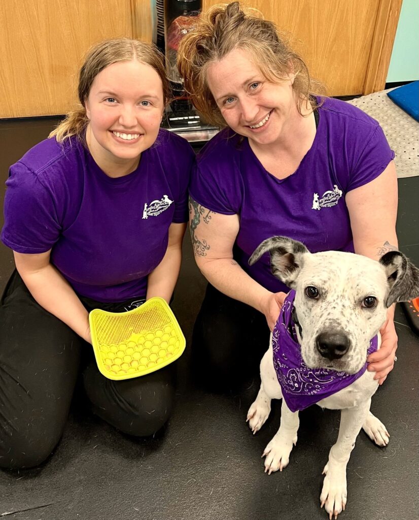 becka and skye at canine physical rehab recreation montgomery il