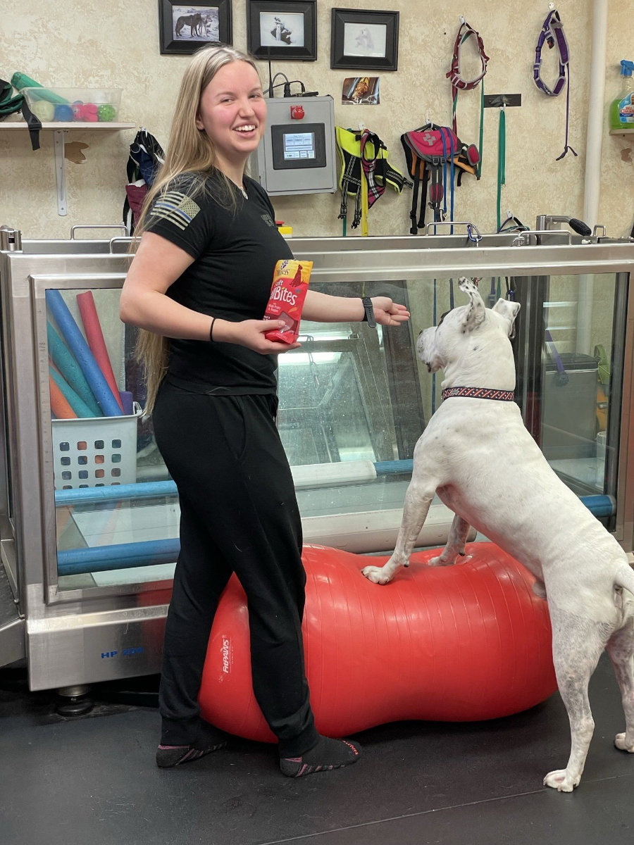 canine physical rehab and recreation
