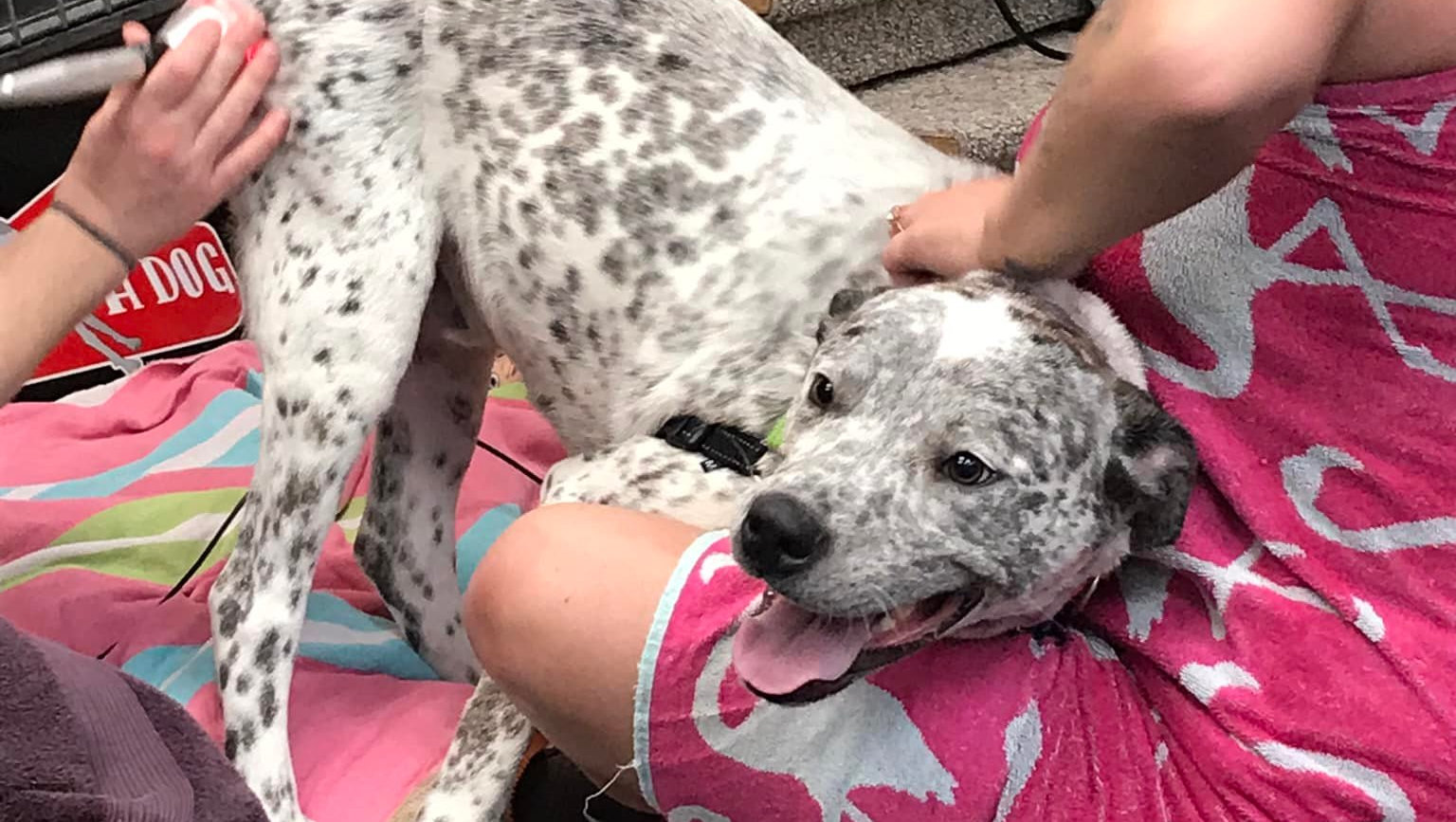 client testimonials hero