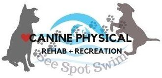 Dog Rehab | Canine Physical Rehab & Recreation Montgomery IL