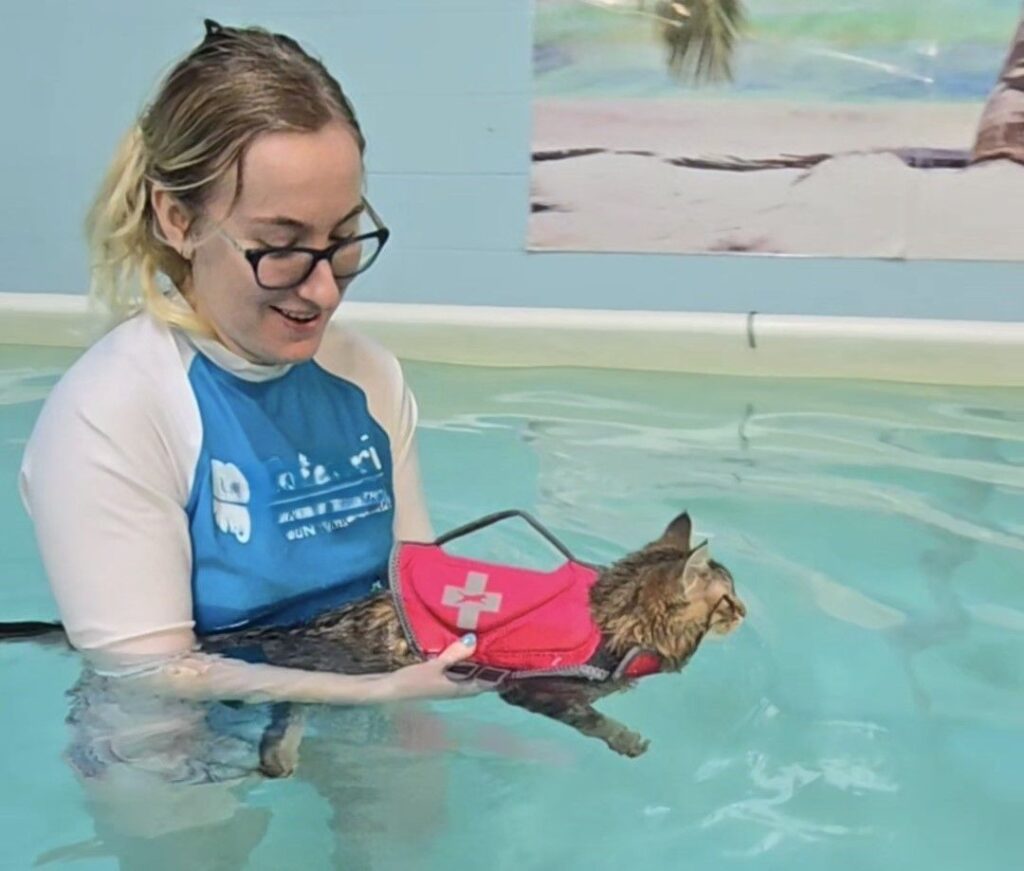 dee dee pool at canine physical rehab recreation montgomery il