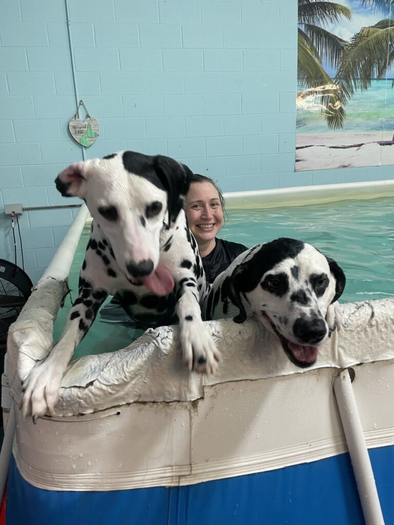 dog swim pool at canine physical rehab recreation montgomery il