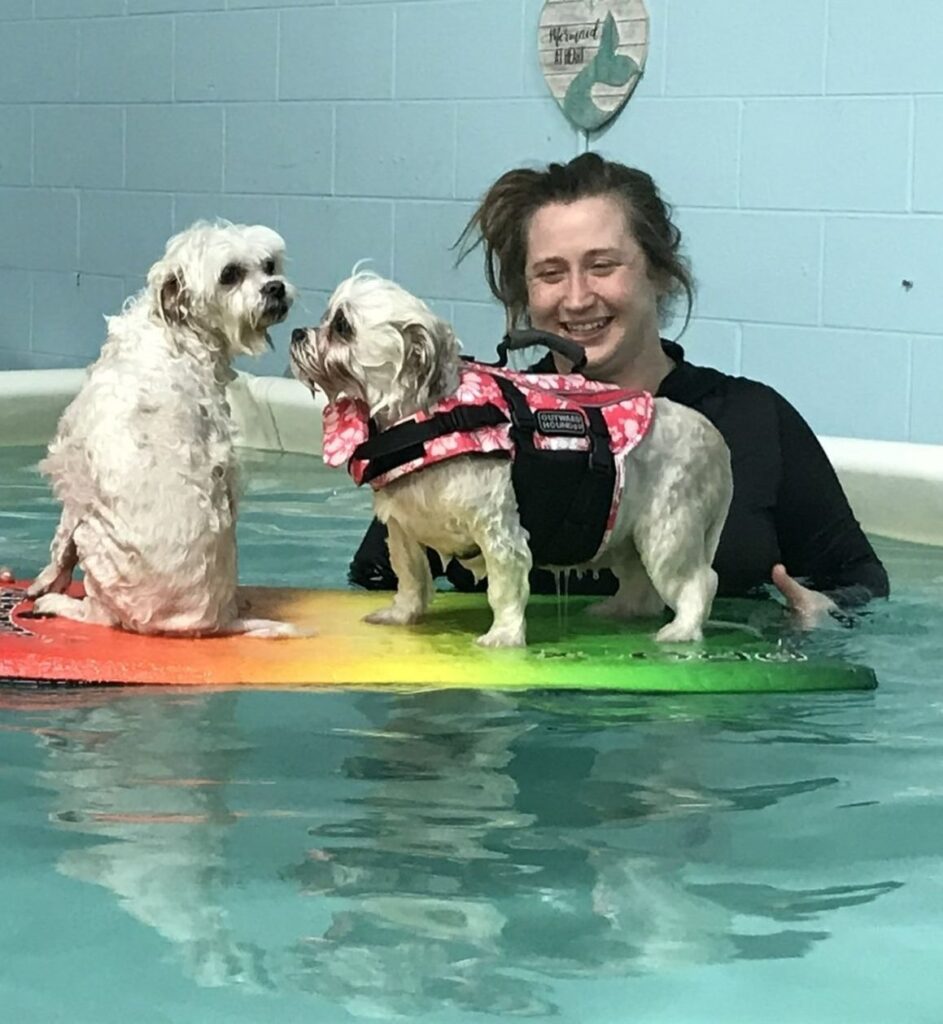 swim board at canine physical rehab recreation montgomery il